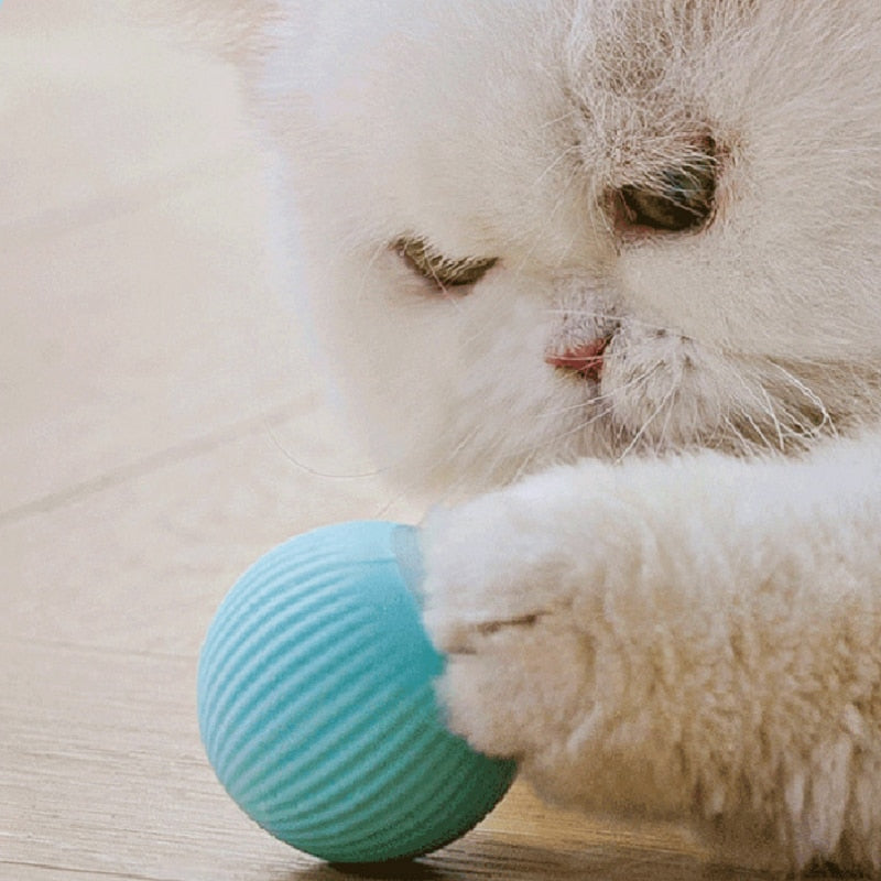 Automatisch rollende bal voor katten